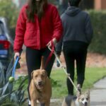 Becca Kufrin in a Black Knit Hat Walks Her Dogs at a Dog Park in Los Angeles 12/13/2021