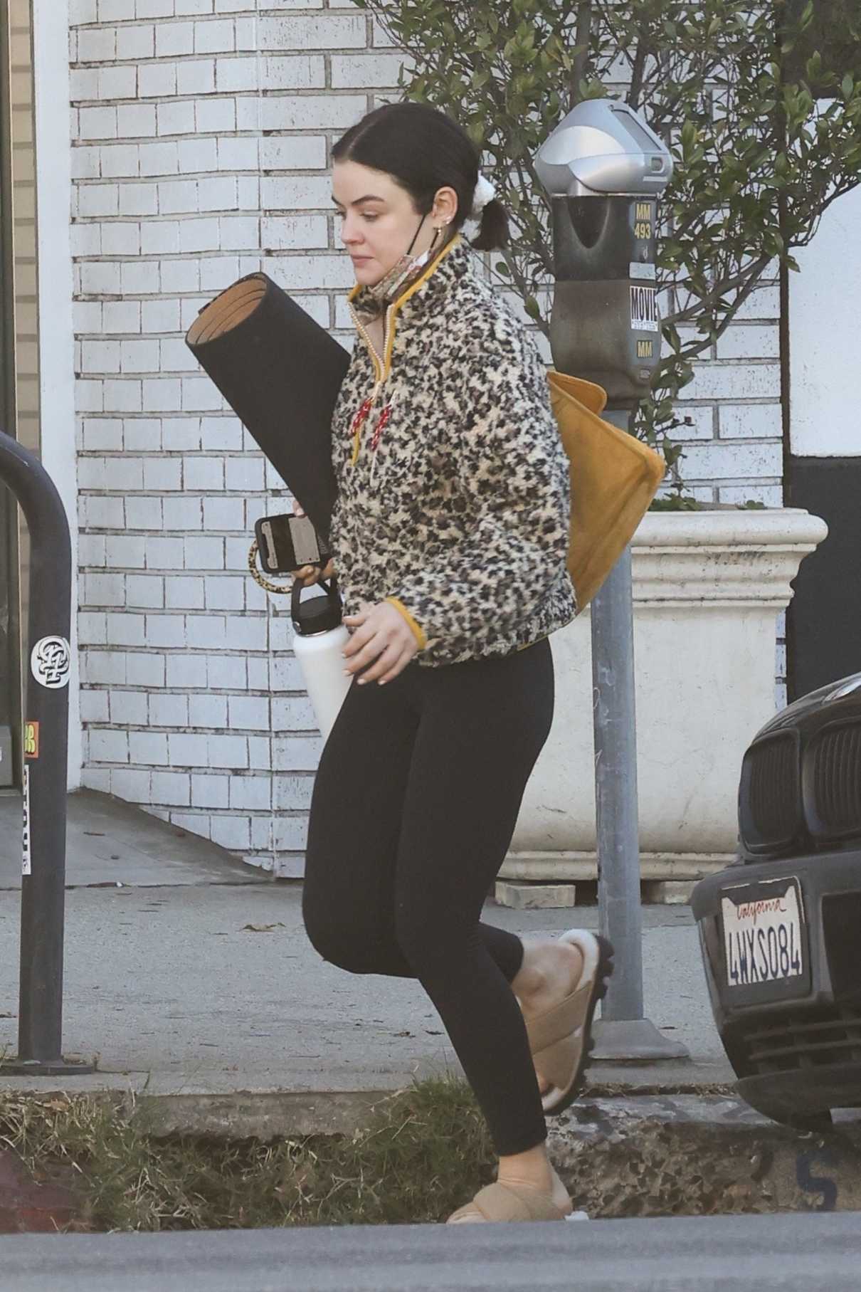 Lucy Hale in an Animal Print Sweatshirt