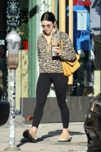 Lucy Hale in an Animal Print Sweatshirt