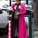 Alice Amter in a Pink Coat Was Seen Out in Larchmont Village in Los Angeles 12/30/2021