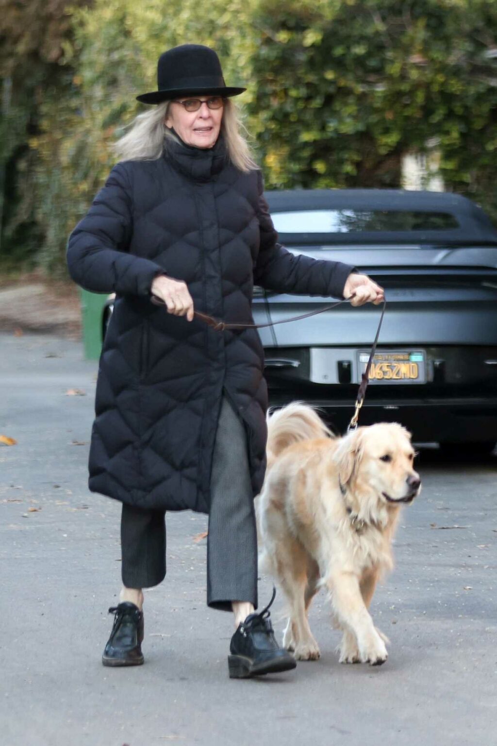 Diane Keaton in a Black Puffer Coat Walks Her Dog in Brentwood 01/02