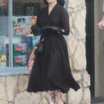 Dita Von Teese in a Black Dress Was Seen Out with a Male Friend in Los Feliz 01/15/2022