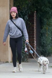 Lucy Hale in a Grey Sweatshirt