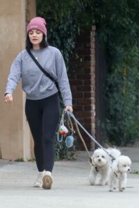 Lucy Hale in a Grey Sweatshirt