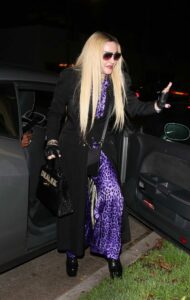 Madonna in a Purple Animal Print Suit