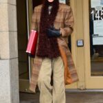 Bella Hadid in a Plaid Tan Coat Was Seen Out in New York City 02/16/2022