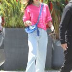 Alessandra Ambrosio in a Pink Sweatshirt Goes to Lunch with Boyfriend Richard Lee in Venice Beach 04/22/2022