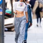 Bella Hadid in a Grey Pants Was Seen Out in New York 04/30/2022