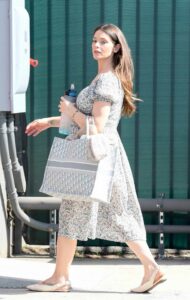 Ashley Greene in a Grey Dress