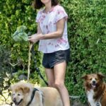 Aubrey Plaza in a Blue Cap Walks Her Dogs in Los Feliz 07/17/2022