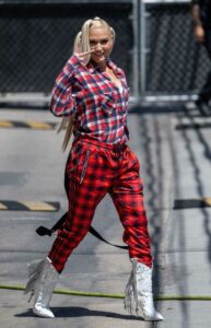 Gwen Stefani in a Plaid Shirt