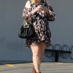 Mischa Barton in a Patterned Dress Was Seen Out in Studio City 07/06/2022