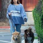 Aubrey Plaza in a Blue Sweatshirt Walks Her Dogs in Los Feliz 08/18/2022