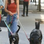Emily Ratajkowski in a Red Tank Top Walks Her Dog in New York 08/08/2022