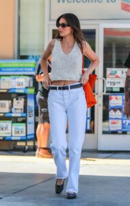 Kendall Jenner in a Beige Knitted Top