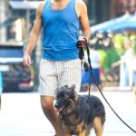 Zachary Quinto in a Blue Tank Top Walks His Dogs in New York 08/04/2022