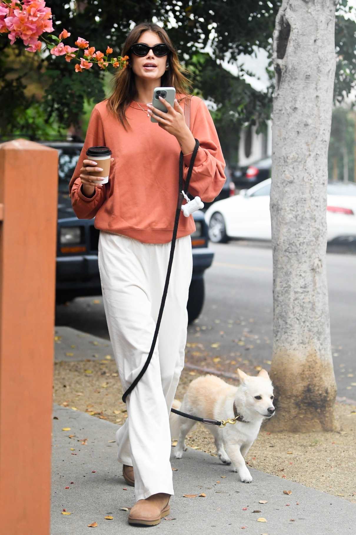 Kaia Gerber in an Orange Sweatshirt Walks Her Dog in Los Angeles 09/17 ...