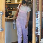 Katherine Schwarzenegger in a Pink and White Plaid Overalls Goes Shopping at Gourmet Market Pierre Lafond in Montecito 08/31/2022