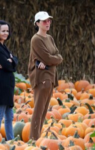 Katy Perry in a Brown Sweater