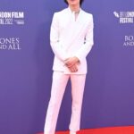 Timothee Chalamet Attends the Bones and All Premiere During the 66th BFI London Film Festival in London 10/08/2022