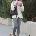 Lady Victoria Hervey in a Grey Jeans Walks Her Dog in West Hollywood 11/14/2022