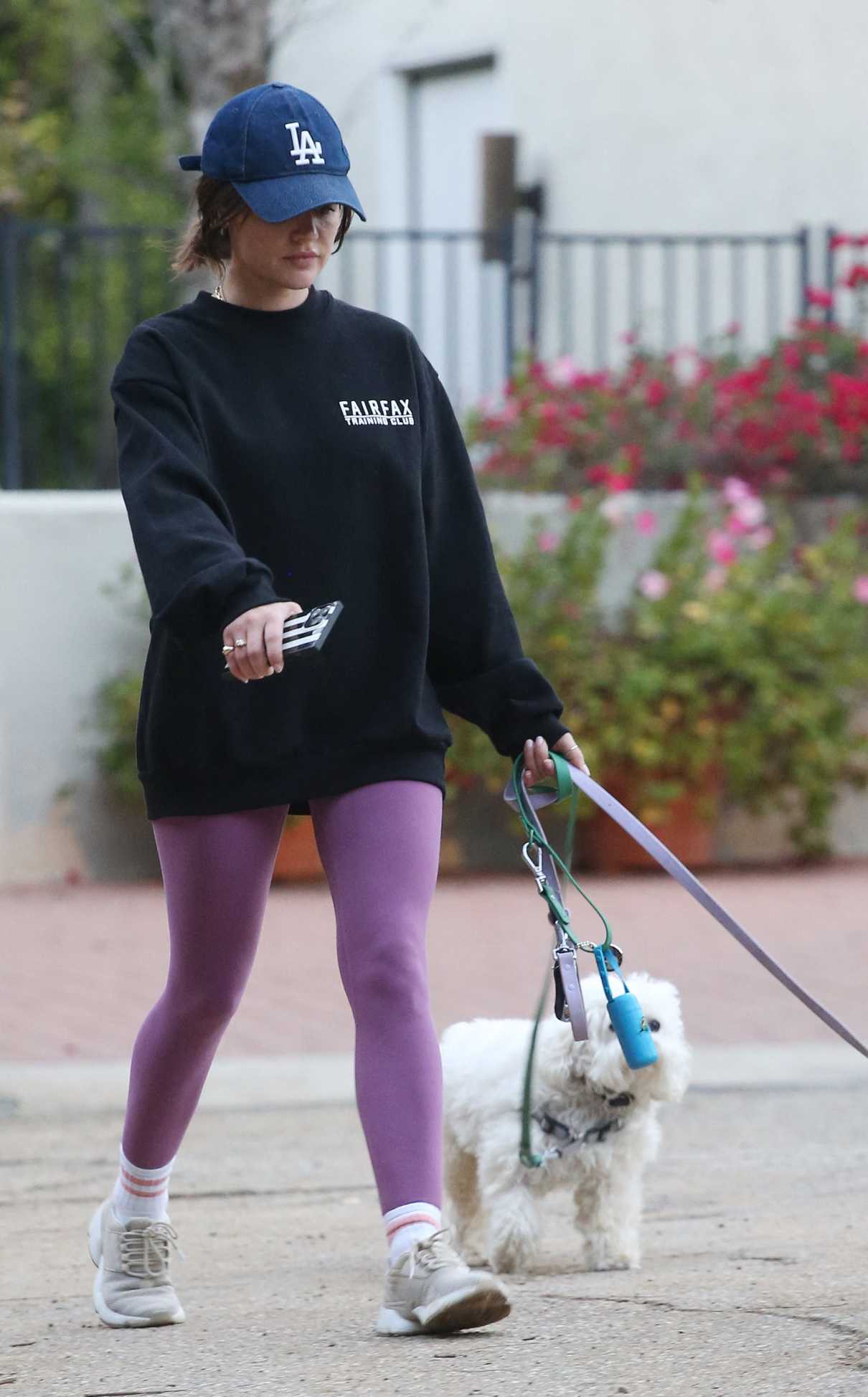 Lucy Hale in a Purple Leggings