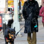 Emily Ratajkowski in a Black Fur Coat Walks Her Dog in New York 12/01/2022