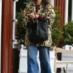 Jordana Brewster in a Yellow Animal Print Blazer Was Seen Out in Brentwood 01/03/2023