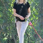 Malin Akerman in a Black Tee Walks Her Dog in Griffith Park in Los Angeles 02/20/2023