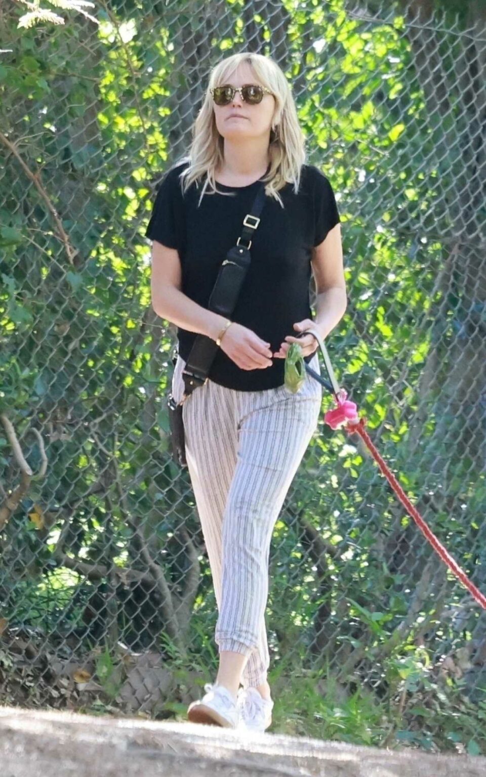 Malin Akerman in a Black Tee Walks Her Dog in Griffith Park in Los