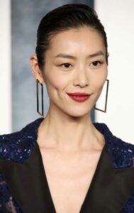 Liu Wen