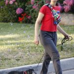 Sarah Silverman in a Red Tee Walks Her Dog in Los Angeles 07/13/2023