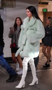 Kendall Jenner in a Green Fur Coat