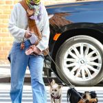 Sarah Paulson in a White Sweatshirt Walks Her Dogs in New York 10/13/2023