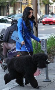 Alexandria Wolfe in a Blue Trench Coat