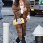 Bella Hadid in a Tan Plaid Coat Goes Shopping in New York 12/22/2023