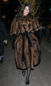 Kendall Jenner in a Fur Coat