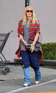 Gwen Stefani in a Plaid Shirt