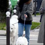 Natalie Portman in a Grey Camo Jacket Walks Her Dogs in the Champ-de-Mars Gardens in Paris 01/30/2024