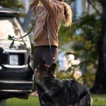 Gisele Bundchen in a Tan Hoodie Walks Her Dog in Surfside 02/22/2024