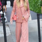 Olivia Wilde in a Pink Plaid Pantsuit Arrives to Chanel Lunch Event at the Greenwich Hotel in n New York City 09/17/2024