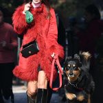 Emily Ratajkowski in a Red Coat Walks Her Dog in New York City 11/09/2024