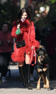 Emily Ratajkowski in a Red Coat