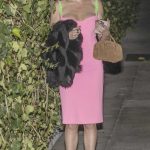 Eugenia Kuzmina in a Pink Dress Leaves the Chateau Marmont in West Hollywood 12/21/2024