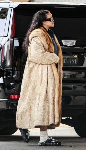 Rihanna in a Beige Fur Coat