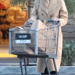 Angelina Jolie in a Beige Coat Was Spotted Out Shopping with Her Son Knox in Los Angeles 01/23/2025