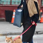 Chloe Fineman in a Black Coat Walks Her Dog in NYC 01/28/2025