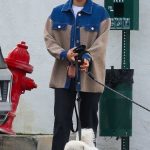 Lucy Hale in a White Sneakers Walks Her Dogs in Studio City 01/22/2025