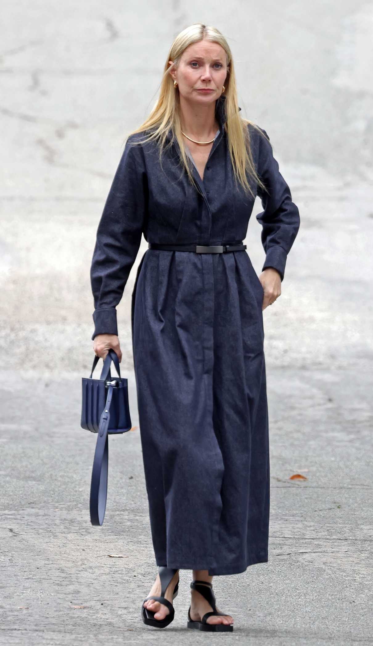 Gwyneth Paltrow in a Navy Dress