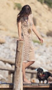 Dakota Johnson in a Beige See-Through Dress
